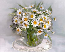 Без бренда «2KMA-0021» в Якутске