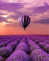 Без бренда «Фиолетовый воздушный шар над фиолетовым лавандовым полем» в Якутске