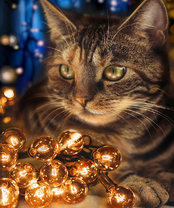 Без бренда «2KXSB-0678» в Якутске