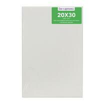 Без бренда «Коробка 80 шт.: Холст Две картинки на подрамнике 20X30» в Якутске