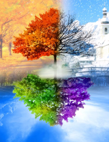 Без бренда «BOX10-2KLB-6100» в Якутске