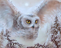 Без бренда «Полярная сова над лесом (20шт)» в Якутске