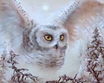 Без бренда «Полярная сова над лесом (20шт)» в Якутске