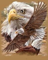 Без бренда «Коробка 20 шт: Орёл крупным планом» в Якутске