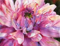 Без бренда «Пышный розовый цветок» в Якутске в интернет-магазине Без бренда «Пышный розовый цветок» в Якутске