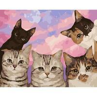 Без бренда «Такие разные котики» в Якутске в интернет-магазине  Без бренда «Такие разные котики» в Якутске