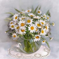 Без бренда «Букет свежих ромашек» в Якутске в интернет-магазине  Без бренда «Букет свежих ромашек» в Якутске