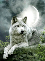 Без бренда «Коробка 25 шт. картин по номерам BOX25-GX21058» в Якутске