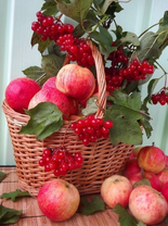 Без бренда «Коробка 25 шт. картин по номерам BOX25-GX5174» в Якутске