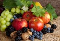 Без бренда «Фрукты, ягоды и орехи» в Якутске в интернет-магазине Без бренда «Фрукты, ягоды и орехи» в Якутске