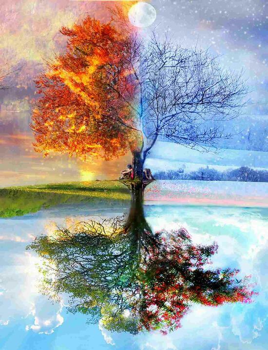 Картина по номерам 40x50 Дерево изображающее все времена года