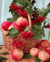 Без бренда «Плетёная корзина с калиной и яблоками» в Якутске