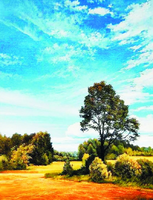 Без бренда «Осенний пейзаж с голубым небом» в Якутске в интернет-магазине  Без бренда «Осенний пейзаж с голубым небом» в Якутске