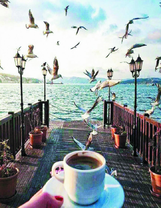Крепкий кофе на причале с чайками