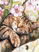 Без бренда «Волосатый котик спит на ветви яблони» в Якутске в интернет-магазине  Без бренда «Волосатый котик спит на ветви яблони» в Якутске